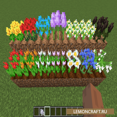 Мод на семена цветов Flower Seeds [1.17.1] [1.16.5] [1.16.4]